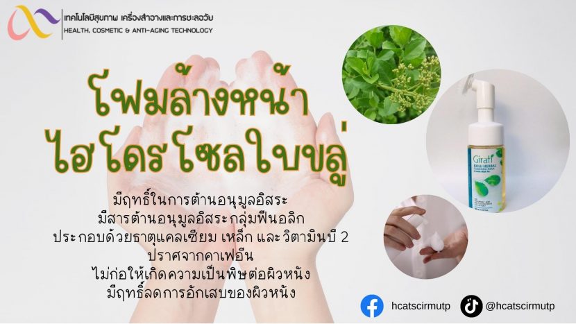 โฟมล้างหน้าไฮโดรโซลใบขลู่