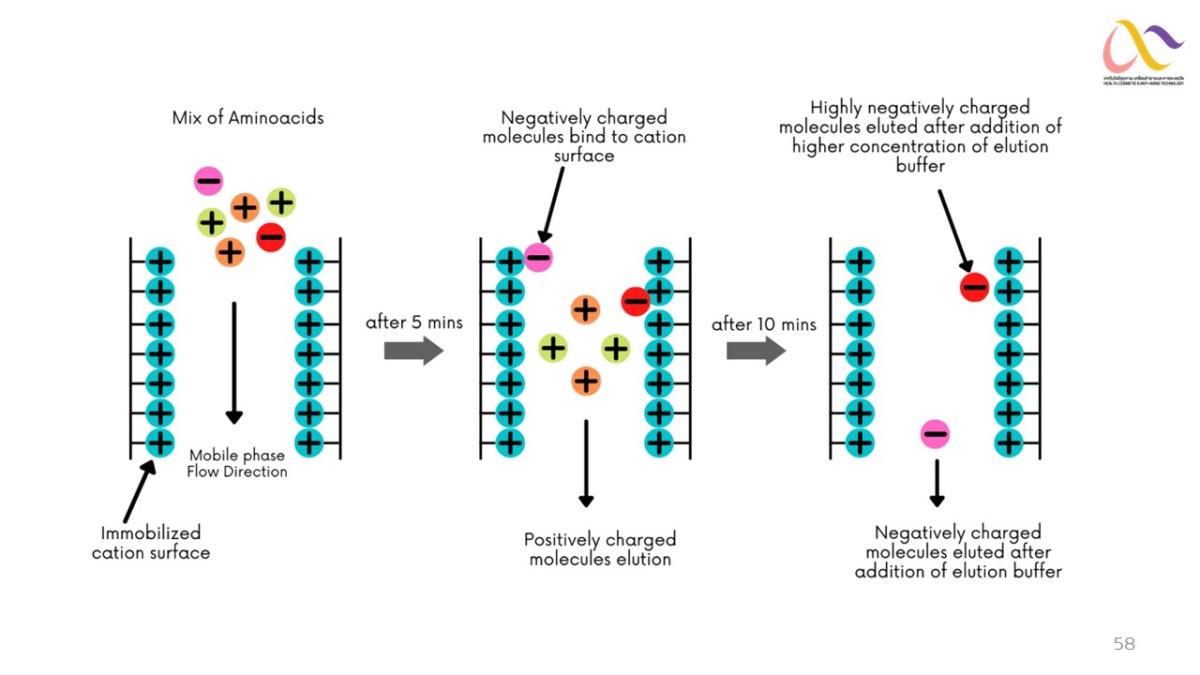 Basic-of-Chromatography-58